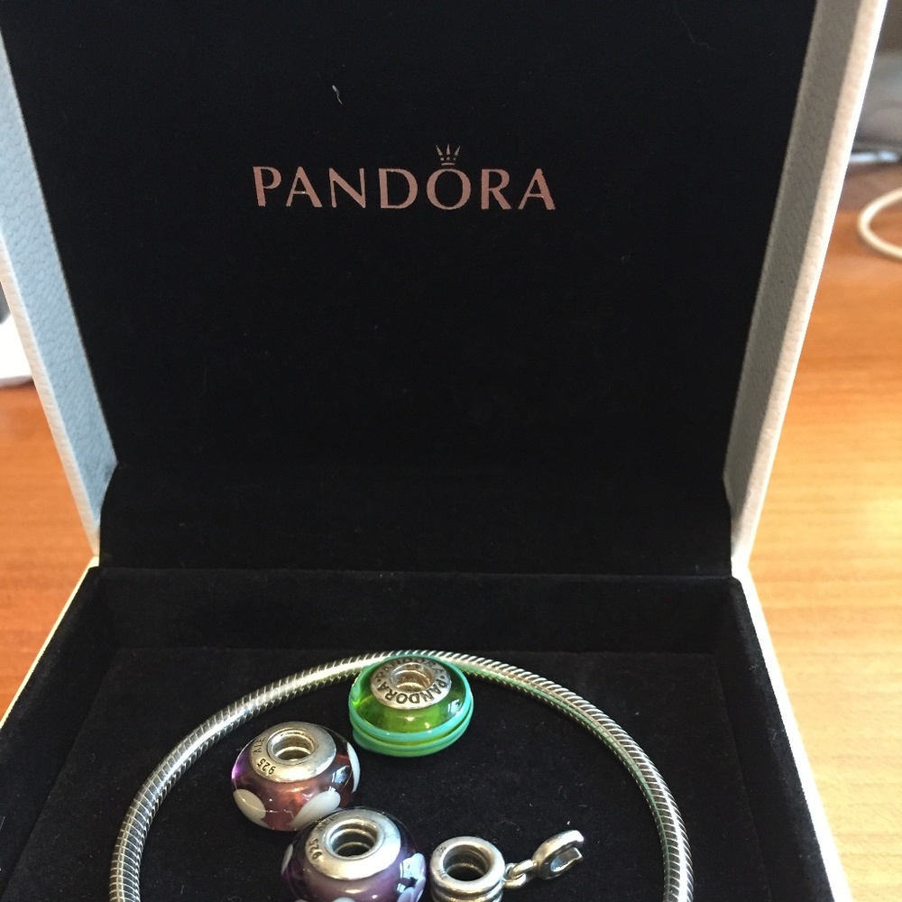 Pandora Bracelet with Charms